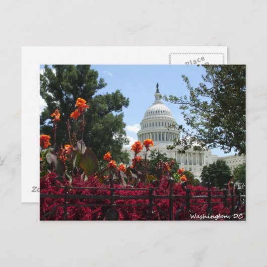 Carte Postale washington (Devant / Derrière)