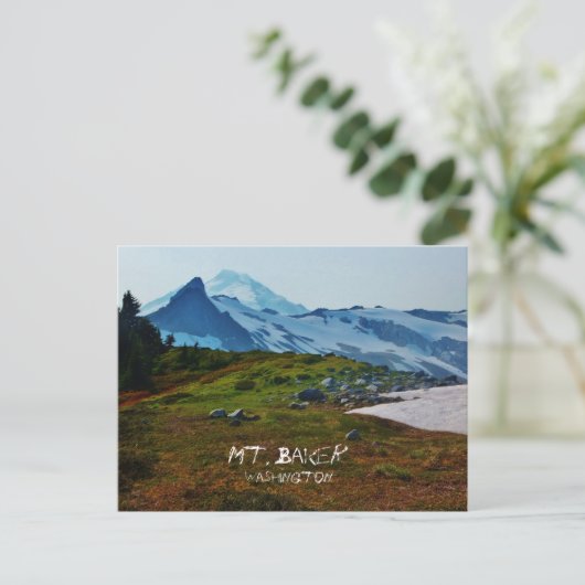 Carte postale Washington (Debout devant)