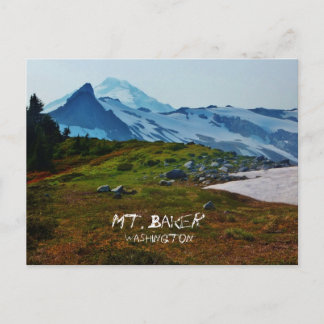 Carte postale Washington