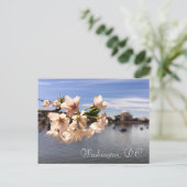 Carte postale Washington, D.C. Cherry Blossom (Debout devant)