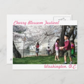 Carte postale Washington, D.C. Cherry Blossom (Devant / Derrière)