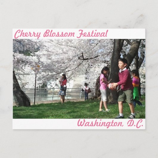 Carte postale Washington, D.C. Cherry Blossom (Devant)