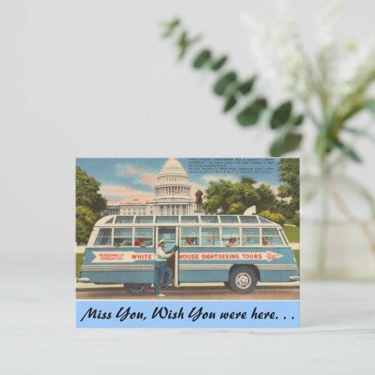 Carte Postale Washington D.C., Visites guidées (Debout devant)