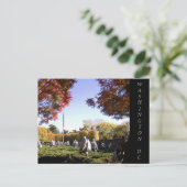 Carte postale Washington DC (Debout devant)