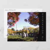 Carte postale Washington DC (Devant / Derrière)