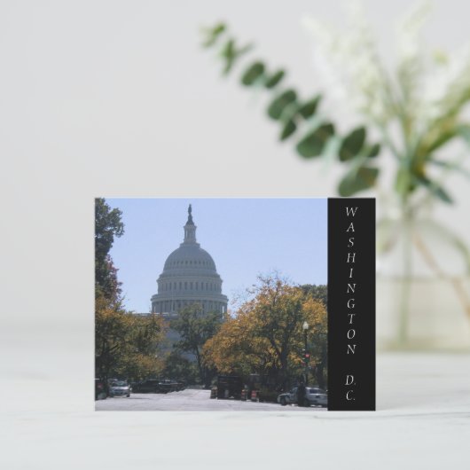 Carte postale Washington DC (Debout devant)