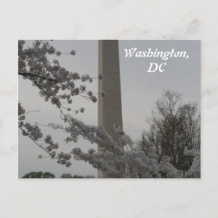 Carte postale Washington, DC