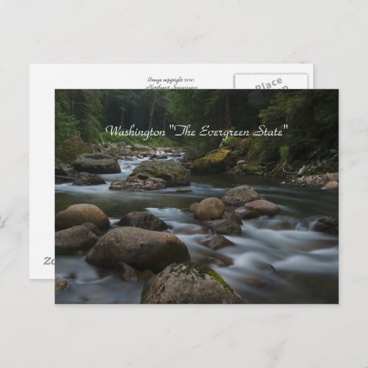 Carte Postale Washington "L'Etat À feuillage persistant" (Devant / Derrière)