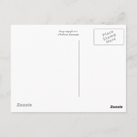 Carte Postale Washington "L'Etat À feuillage persistant" (Dos)