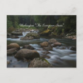 Carte Postale Washington "L'Etat À feuillage persistant" (Devant)