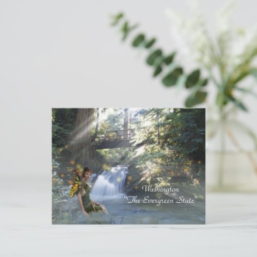 Carte Postale Washington "L'Etat À feuillage persistant" (Debout devant)