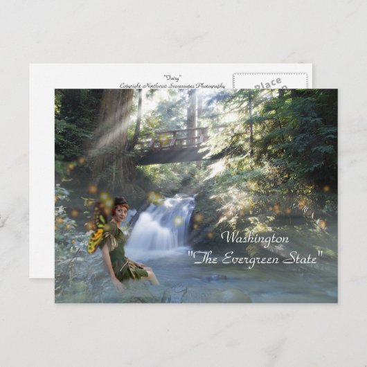 Carte Postale Washington "L'Etat À feuillage persistant" (Devant / Derrière)