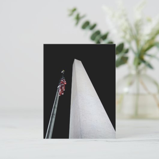 Carte postale Washington Monument (Debout devant)