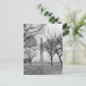 Carte Postale Washington Monument (Debout devant)