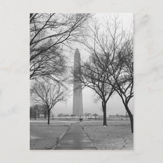 Carte Postale Washington Monument (Devant)