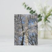 Carte Postale Washington Monument Cherry Trees 001 (Debout devant)