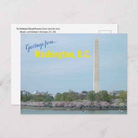 Carte postale - Washington Monument et Cherry Blos (Devant / Derrière)