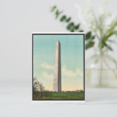 Carte Postale Washington Monument rare Photochrom (Debout devant)