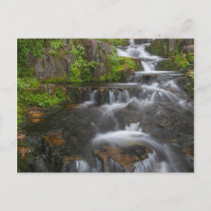 Carte Postale Washington, Parc national du mont Rainier 2