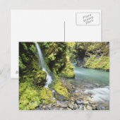 Carte Postale Washington, Parc National Olympique, Saisonnier (Devant / Derrière)