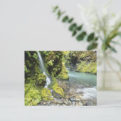 Carte Postale Washington, Parc National Olympique, Saisonnier (Debout devant)