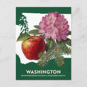 Carte Postale Washington Rhododendron Apple et symboles de l'Éta