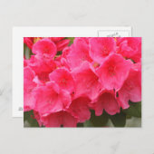 Carte Postale Washington, Seattle, Puget Sound, Discovery Park (Devant / Derrière)