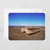 Carte Postale Washington State Seashore : Photo (Devant / Derrière)