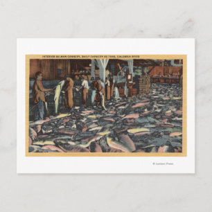 Carte Postale Washington - Vue intérieure d'un Saumon