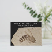 Carte Postale Wasp Fossil Florissant Fossil Lits Fossil National (Debout devant)