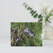 Carte Postale Wasserfall à Kerry, Irland (Anneau de Kerry) (Debout devant)