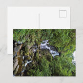 Carte Postale Wasserfall à Kerry, Irland (Anneau de Kerry) (Devant / Derrière)