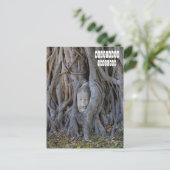 Carte Postale Wat Mahathat Bouddha Head (Debout devant)