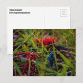 Carte postale Watch Your Back (Devant / Derrière)