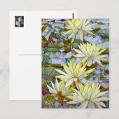 Carte Postale Water Lilies [Postcard] (Devant / Derrière)