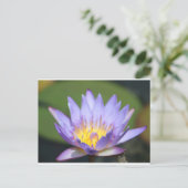 Carte Postale Water Lilly (Debout devant)