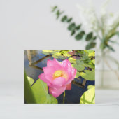 Carte postale Water Lily (Debout devant)