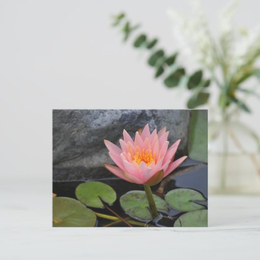 Carte postale Water Lily (Debout devant)