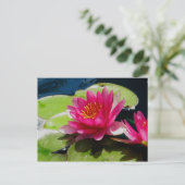 Carte postale Water Lily (Debout devant)