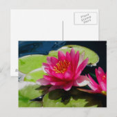 Carte postale Water Lily (Devant / Derrière)