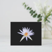 Carte postale Water Lily (Debout devant)