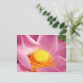 Carte postale Water Lily (Debout devant)