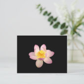 Carte postale Water Lily (Debout devant)