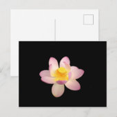 Carte postale Water Lily (Devant / Derrière)