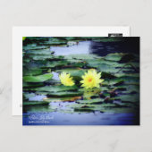 Carte Postale Water-Lily Pond ：Postcard (Devant / Derrière)