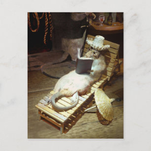 Carte Postale Water Rat profiter de Shiboard Life