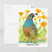 Carte Postale Watercolor California Poppies Quail Bird (Devant / Derrière)