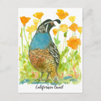 Watercolor California Poppies Quail Bird