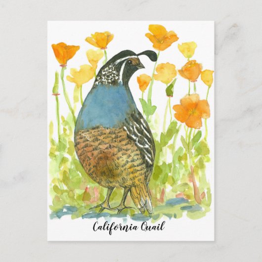 Carte Postale Watercolor California Poppies Quail Bird (Devant)