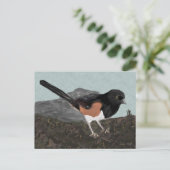 Carte postale Watercolor Eastern Towhee (Debout devant)